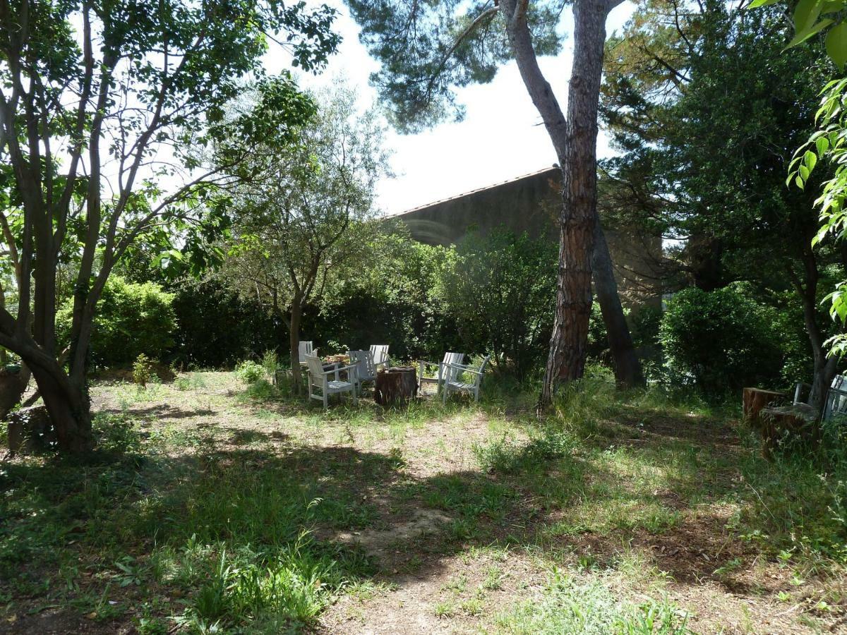 Maison Butterfly Bed and Breakfast Puissalicon Exterior foto
